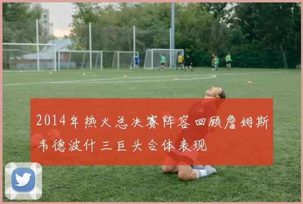 2014年热火总决赛阵容回顾詹姆斯韦德波什三巨头合体表现