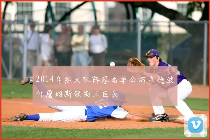 2014年热火队阵容名单公布韦德波什詹姆斯领衔三巨头