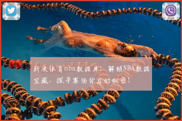 新浪体育nba数据库：解锁NBA数据宝藏，探寻赛场背后的秘密！