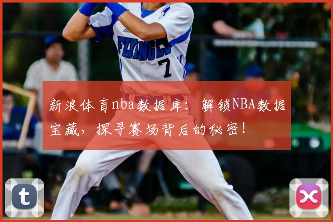 新浪体育nba数据库：解锁NBA数据宝藏，探寻赛场背后的秘密！