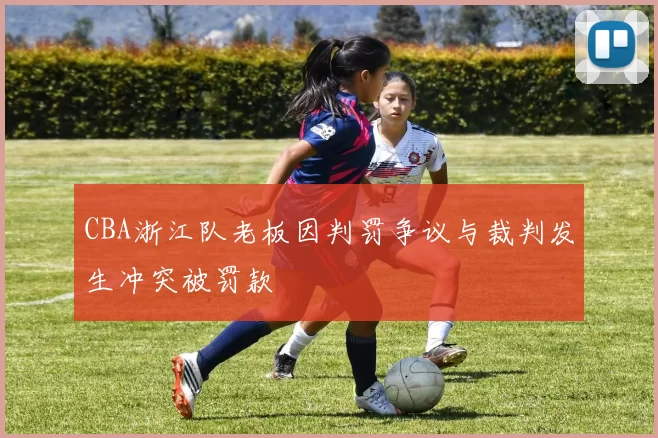 CBA浙江队老板因判罚争议与裁判发生冲突被罚款