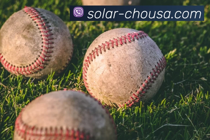 k1体育官方网登录入口平台生态图